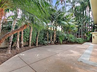 Lush landscaping on back patio