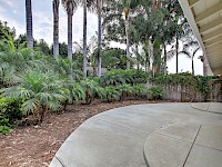 Landscaping in back patio