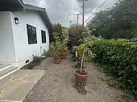 Front yard