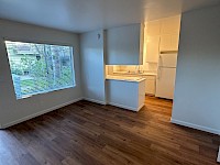 Living room and kitchen
