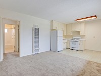 Living Room into kitchen